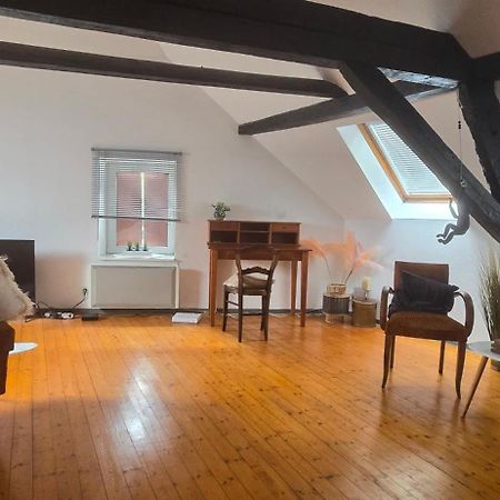 Апартаменты Loft Gaia Brunstatt-Didenheim Экстерьер фото